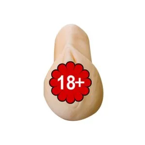 POCKET PAL V2 MMT-016